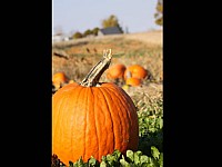 2008 Geocaching-012.jpg